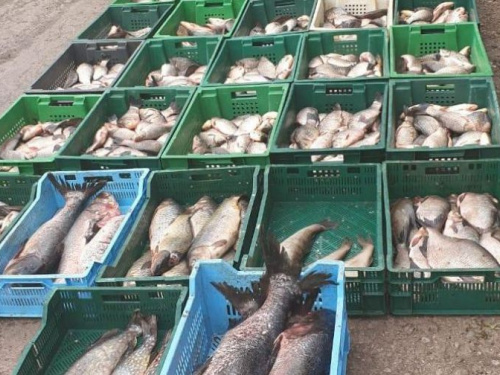 Фото пресс-службы Криворожского отдела полиции