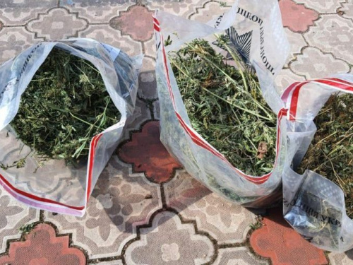 Протягом вихідних криворізькі поліцейські задокументували 55 наркозлочинів