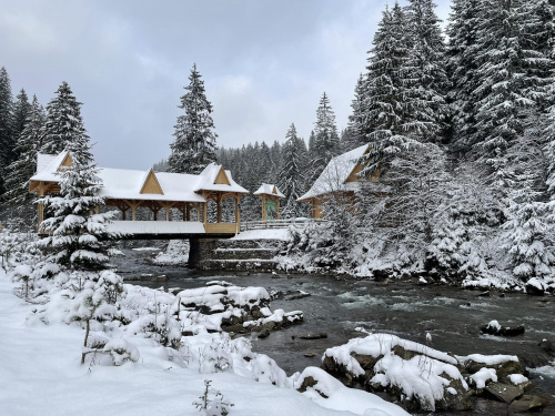 Фото ілюстративне з відкритих джерел     