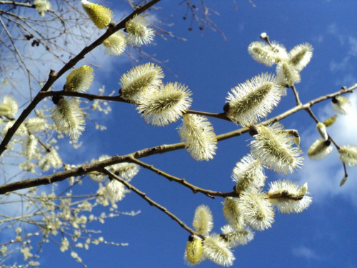 Погода в квітні - фото ілюстративне з відкритих 