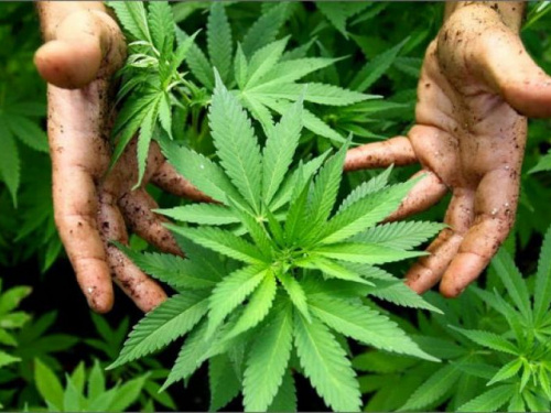 Под Кривым Рогом предприимчивому местному жителю полиция не дала заработать