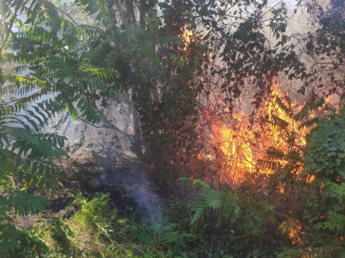 Фото пресслужби Дніпропетровської ОВА
