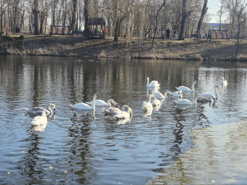 Криворізький вікенд: як провести час з родиною у Великодні вихідні