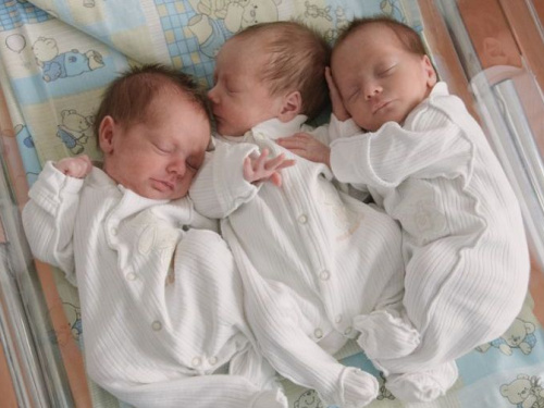 Тройняшки, двойни и 15-летние роженицы: госстатистика озвучила число новоиспеченных мам на Днепропетровщине за год