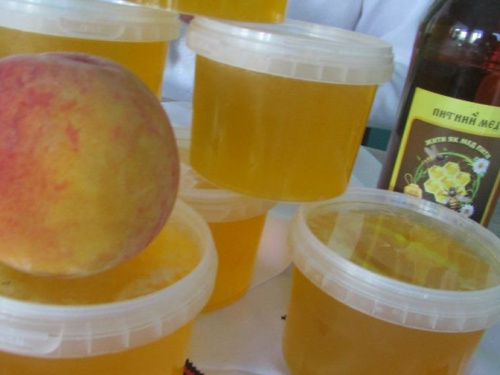 Жителей Кривого Рога приглашают на Медовый фестиваль