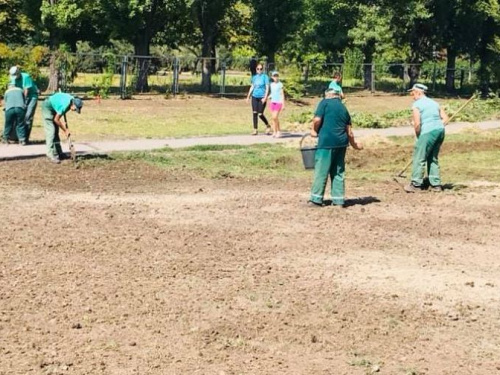 В Кривом Роге по амброзии ударили не только покосом, но и травозамещением