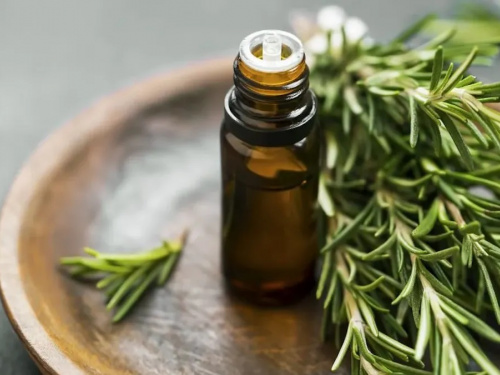 Розмарин для волосся: користь, наукові дані та важливі застереження - фото з відкритих джерел