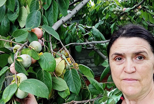 фото Вікторії Тротнер