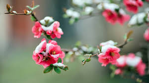 Погода в уїк-енд - фото ілюстративне з відкритих джерел