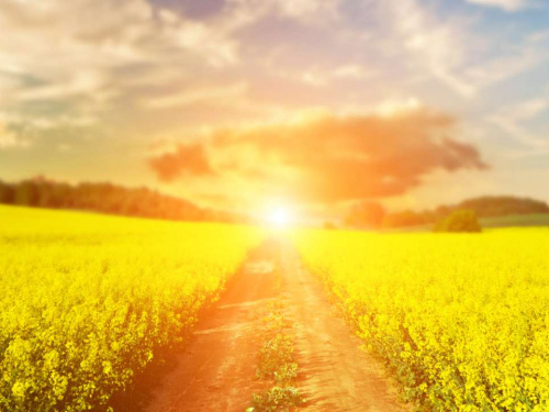 Фото з відкритих джерел  