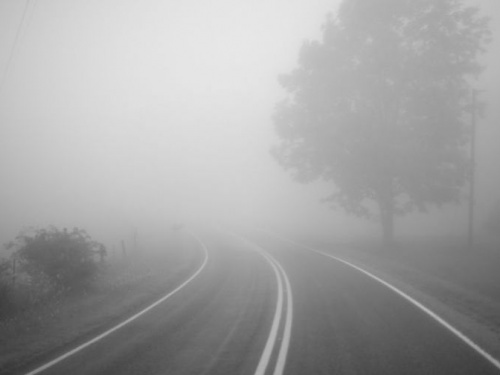 Водителей Кривого Рога предупреждают о туманах на дорогах