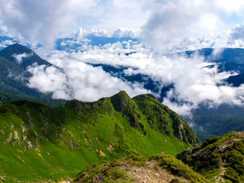 Фото з відкритих джерел