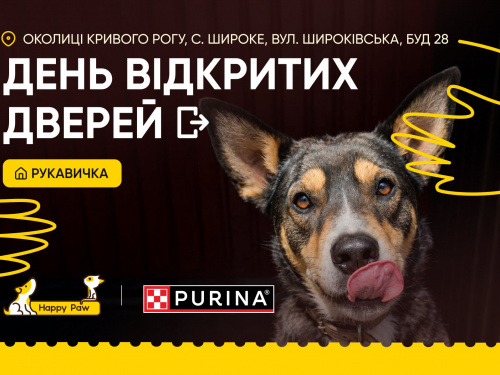 Майже 200 хвостатих чекають на свій дім: у Кривому Розі влаштують День відкритих дверей у притулку