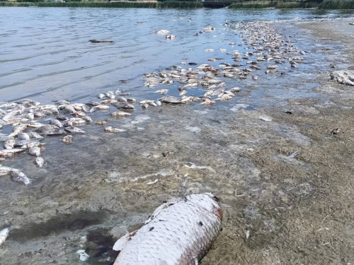 Фото Віталій Соловей