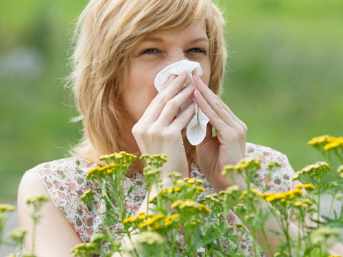 Алергія чи застуда - фото з відкритих джерел