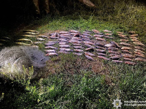 Фото Національна поліція