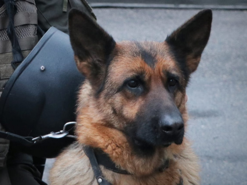 Фото в/ч 3011 Національної гвардії України