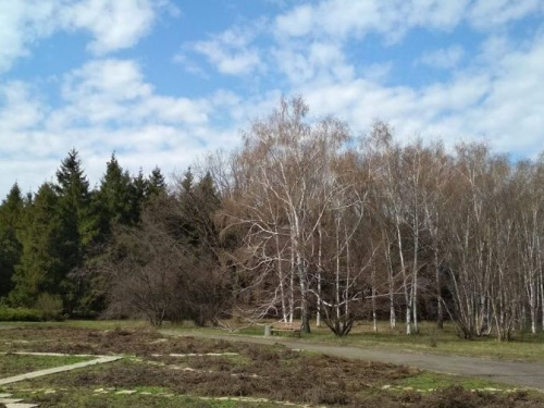 Фото из соцсетей