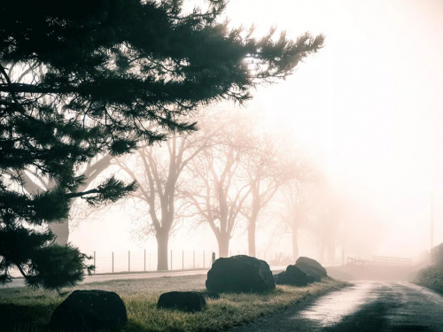 Фото з відкритих джерел
