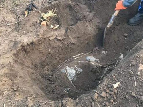 Известны подробности по пяти трупам в Кривом Роге: убивали, уши отдавали собакам, а тела закапывали во дворе