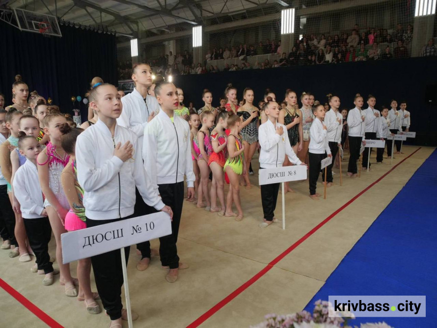 Понад 200 спортсменок змагалися у відкритому Кубку з художньої гімнастики у Кривому Розі: хто став найкращим