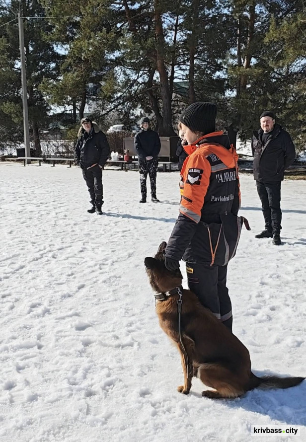 Дресирувальний центр "Антарєс" на Дніпропетровщині тимчасово призупинив відвідування: коментар очільниці Лариси Борисенко