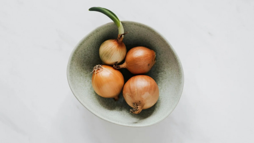 Що робити з пророслою цибулею — готувати чи викидати