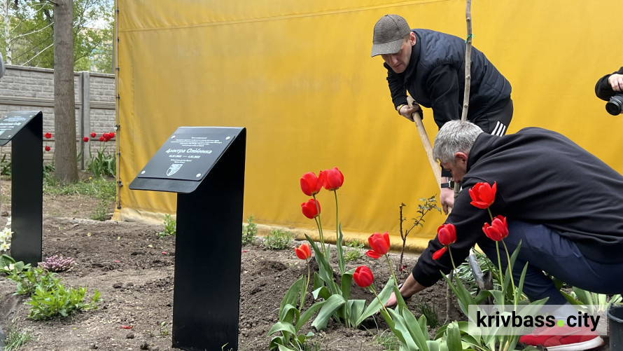 Це більше, ніж пам’ять: на території Шелтер Плюс з'явився сквер на честь героїв-волонтерів