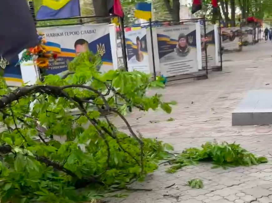 Відсутність світла, повалені дерева та пошкоджені авто: наслідки буревію на Криворіжжі