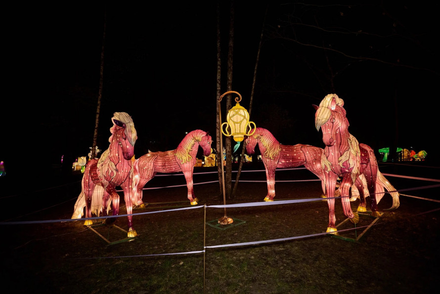 Святковий Львів 2025–2026: події, традиції та легенди