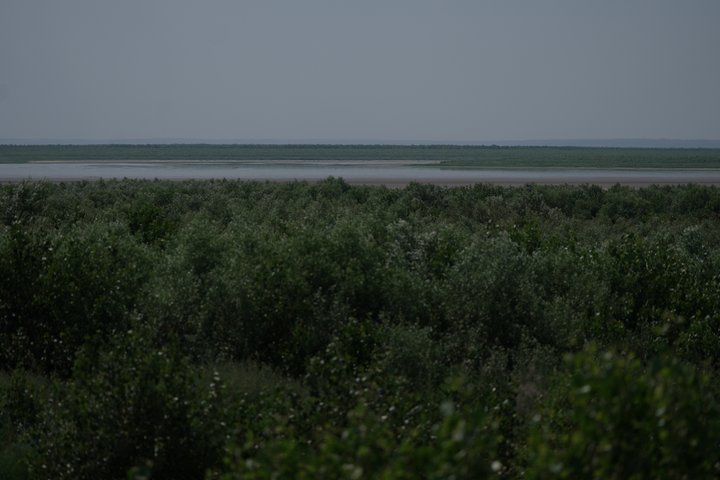 Четверте літо після підриву Каховської ГЕС: як зараз виглядає територія колишнього водосховища