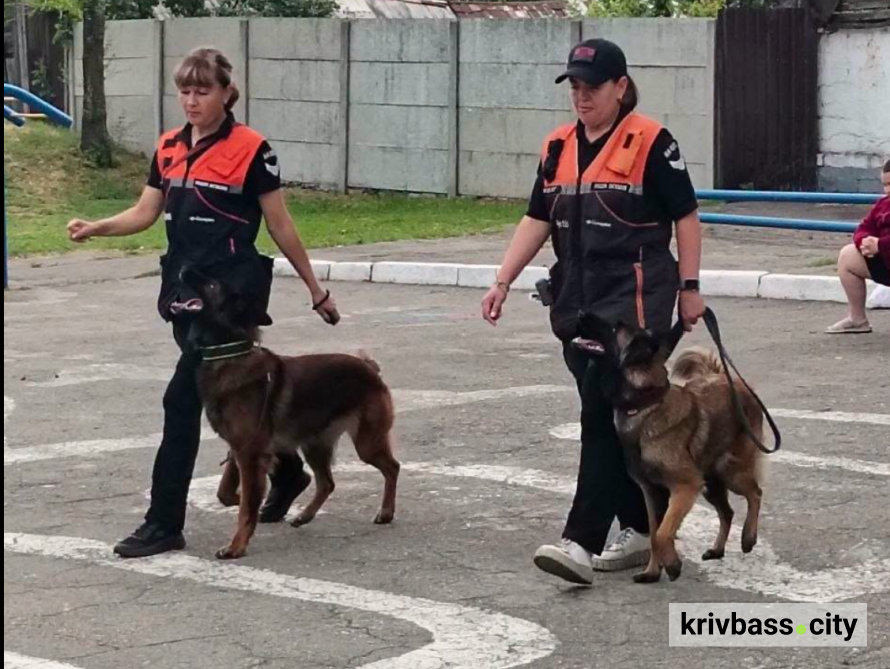 Дресирувальний центр "Антарєс" на Дніпропетровщині відновлює роботу: яких собак приймають на тренування