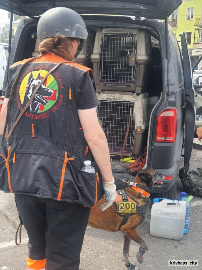 Дресирувальний центр "Антарєс" на Дніпропетровщині тимчасово призупинив відвідування: коментар очільниці Лариси Борисенко