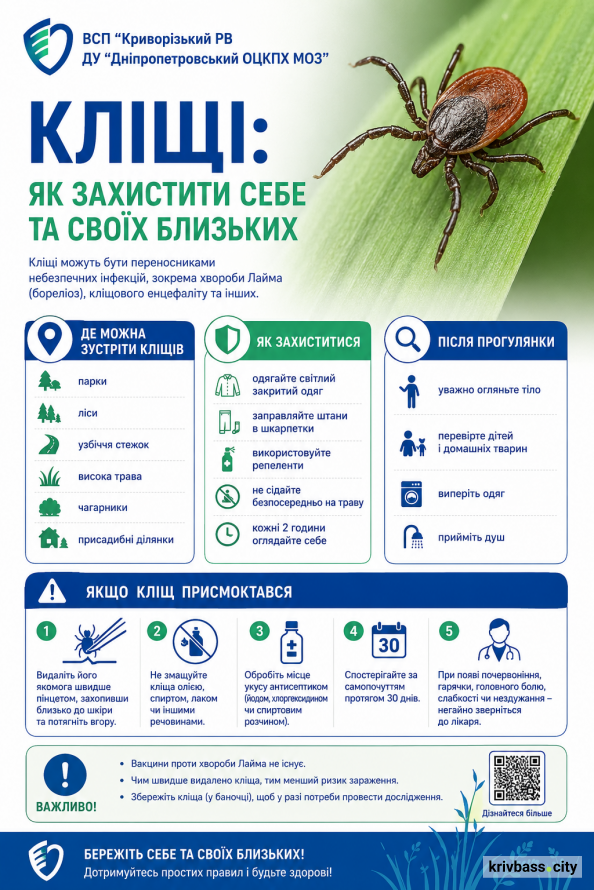 Кліщі несуть небезпечну інфекцію: у Кривому Розі почастішали випадки хвороби Лайма