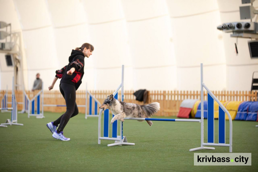Чотирилапі чемпіони: попри труднощі з тренуваннями собаки з кінологічного загону "Антарєс" вибороли 10 медалей