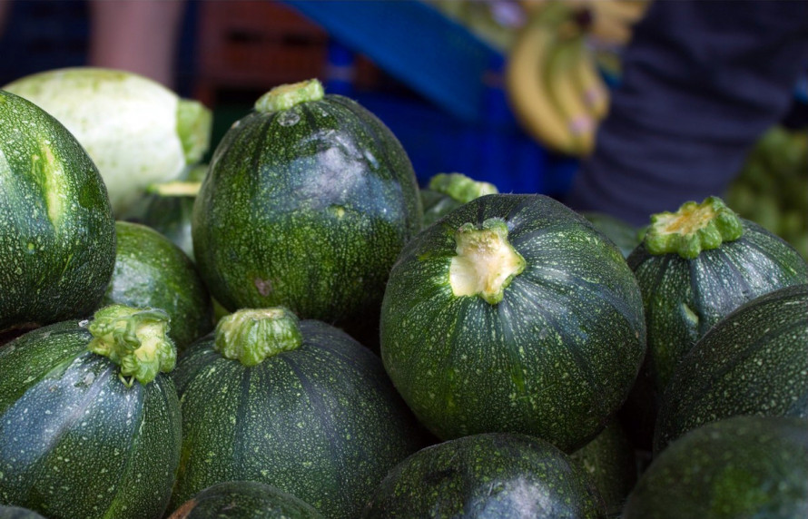 Як виростити кабачки й гарбузи: терміни посадки та секрети догляду