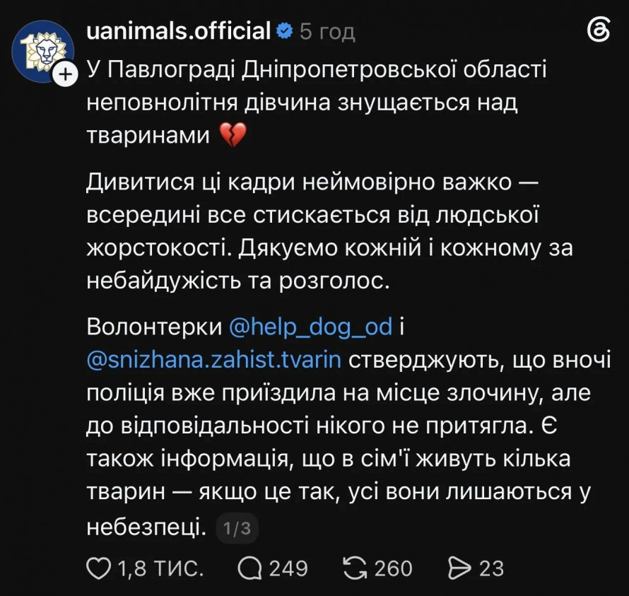 На  Дніпропетровщині неповнолітня на камеру душила кота: що кажуть правоохоронці