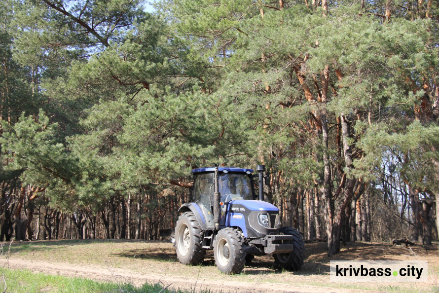 "Ліси пам'яті": ветерани спільноти ТитаниUA висадили тисячі дерев, вшановуючи загиблих оборонців