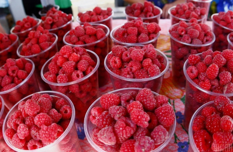 Як зберегти малину свіжою до двох тижнів: прості секрети