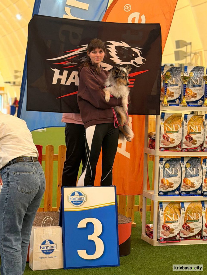 Чотирилапі чемпіони: попри труднощі з тренуваннями собаки з кінологічного загону "Антарєс" вибороли 10 медалей