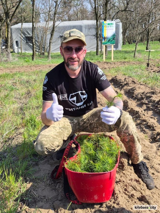 "Ліси пам'яті": ветерани спільноти ТитаниUA висадили тисячі дерев, вшановуючи загиблих оборонців