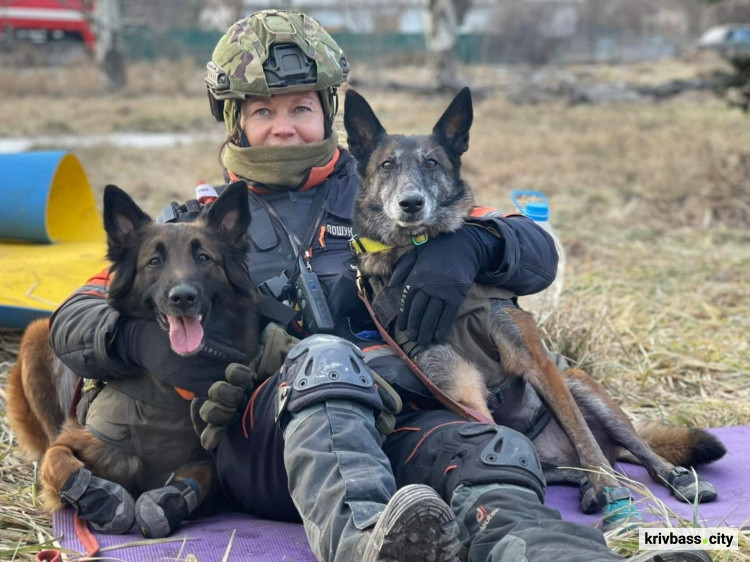 Дресирувальний центр "Антарєс" на Дніпропетровщині відновлює роботу: яких собак приймають на тренування