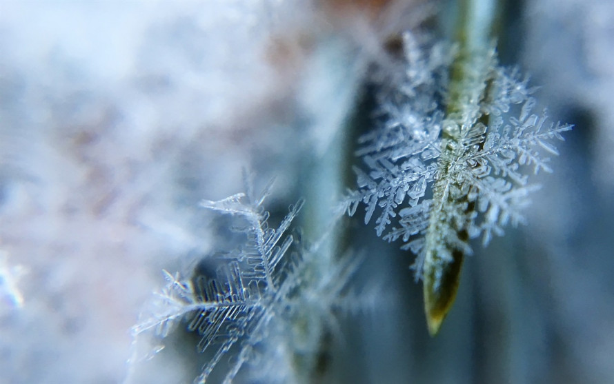 Зимова казка з неба: як народжуються опади у холодну пору