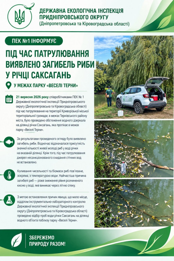 Криворіжці скаржаться на загибель риби в Саксагані: офіційна реакція екологів