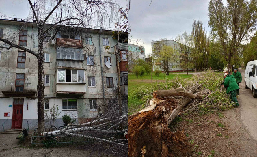 Відсутність світла, повалені дерева та пошкоджені авто: наслідки буревію на Криворіжжі