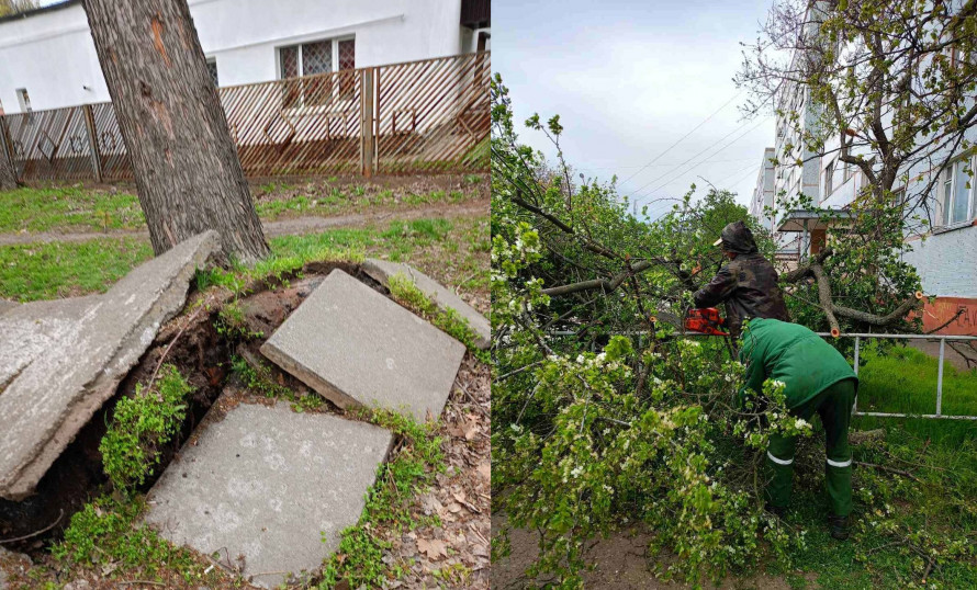 Відсутність світла, повалені дерева та пошкоджені авто: наслідки буревію на Криворіжжі