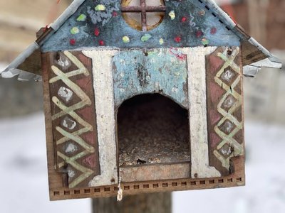 Дніпропетровщина у снігу та морозі: прості способи підтримати наших пернатих сусідів