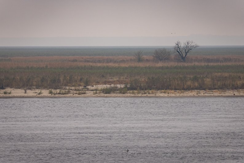 Дніпро стає безлюдною річкою: як змінилася водойма після підриву Каховської ГЕС