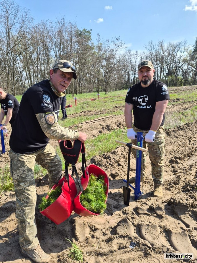 "Ліси пам'яті": ветерани спільноти ТитаниUA висадили тисячі дерев, вшановуючи загиблих оборонців