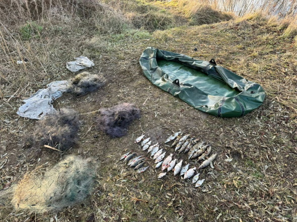 Рибоохоронці Дніпропетровщини затримали браконьєрів, які завдали збитків на 185 тисяч грн